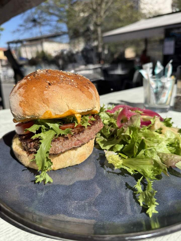Burger Insula, restaurant insula L'Isle-sur-la-Sorgue